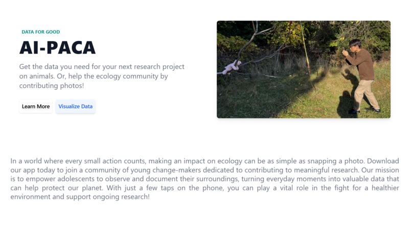 AI-paca – screenshot 3