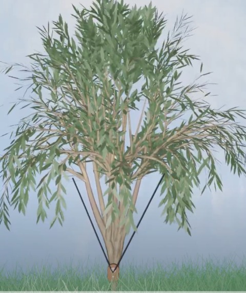 trees as natural turbine  – screenshot 5