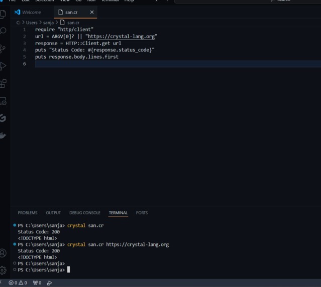 Custom URL – screenshot 1