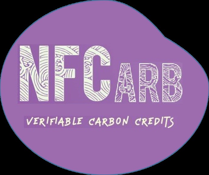 NFCarb – screenshot 1
