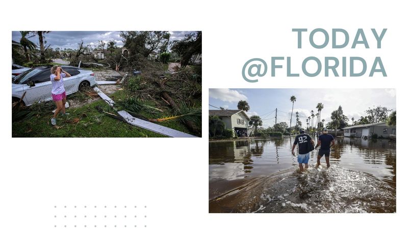 Garuda – screenshot 2