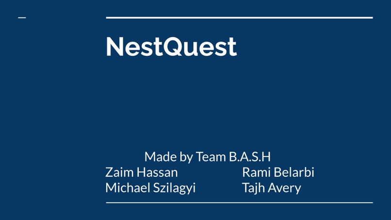 NestQuest – screenshot 1