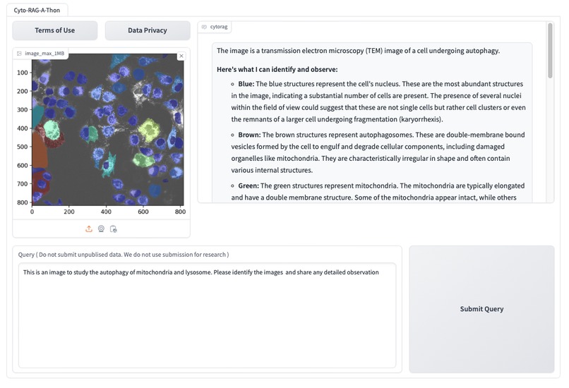 RAG Regeneration of Human Heart – screenshot 1