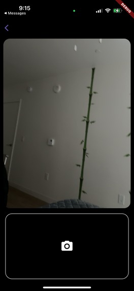 Stills – screenshot 2