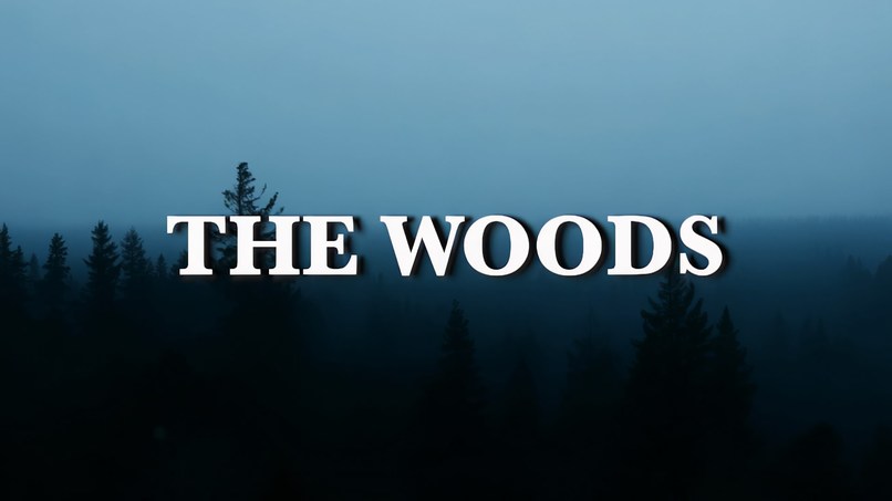 The Woods – screenshot 1