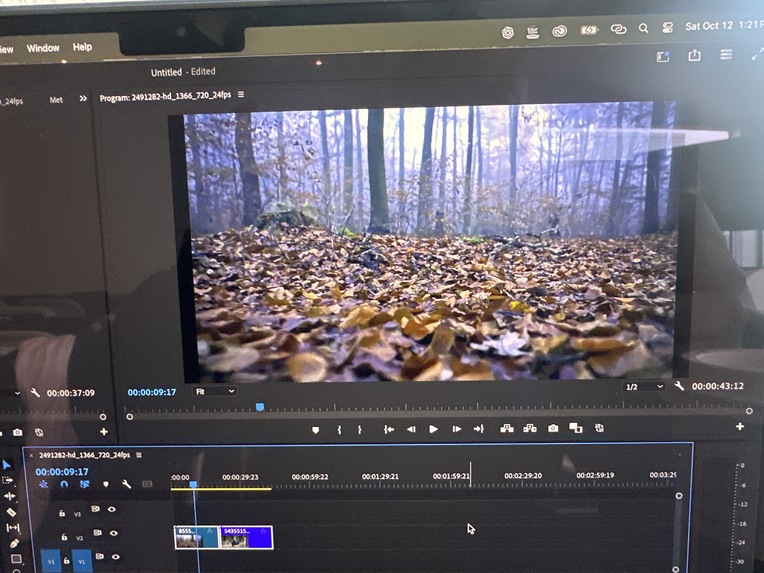 The Woods – screenshot 3