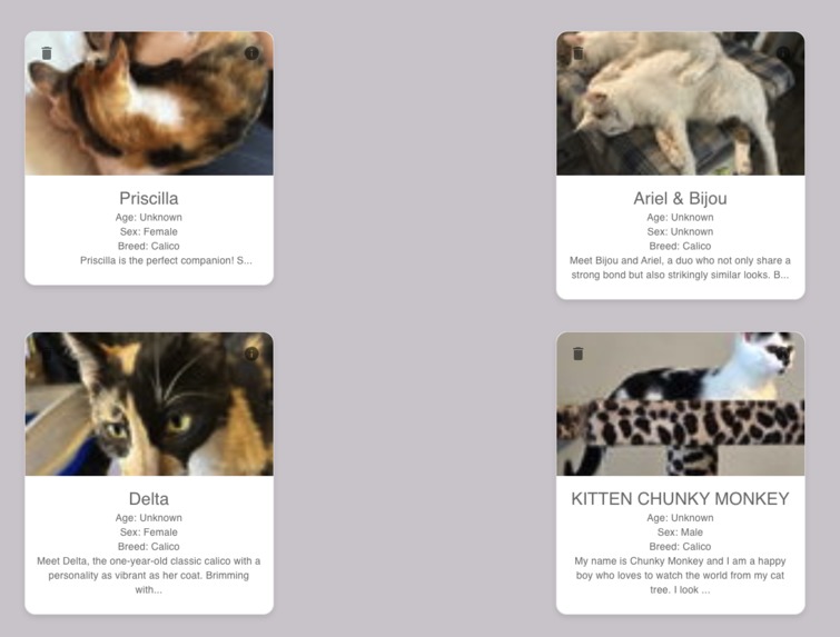Cat Tinder – screenshot 4