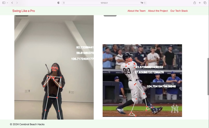 Swing Like a Pro – screenshot 1