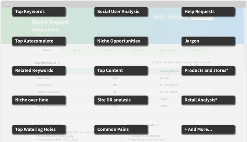Niche Report – screenshot 4