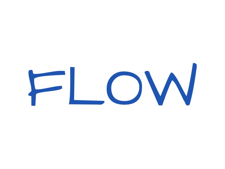 FLOW – screenshot 1