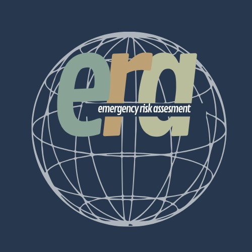 Emergency Risk Assessment – screenshot 1