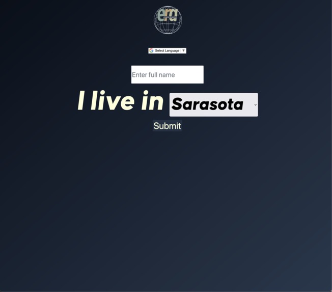 Emergency Risk Assessment – screenshot 3