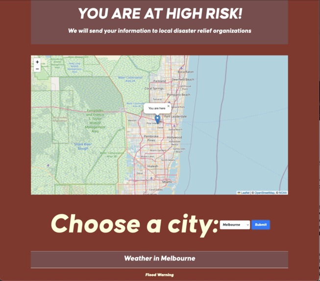 Emergency Risk Assessment – screenshot 5