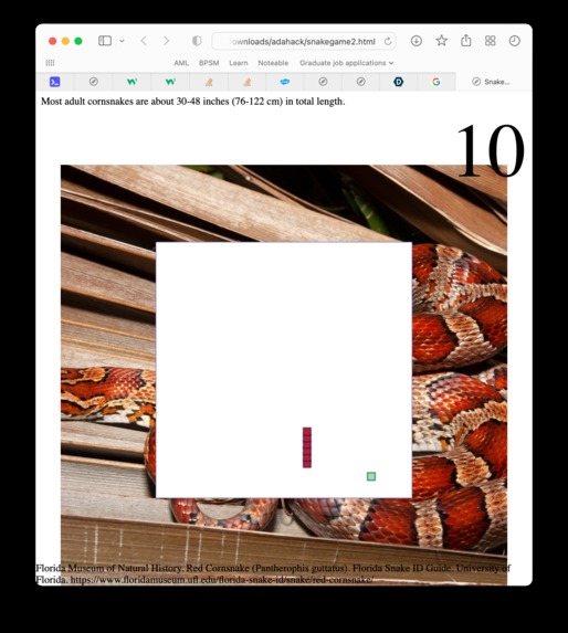 Table 7 – screenshot 2