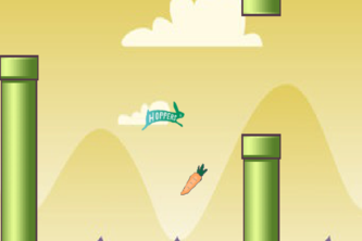FlappyHopper