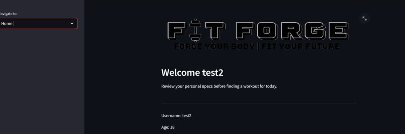 Fit Forge – screenshot 4
