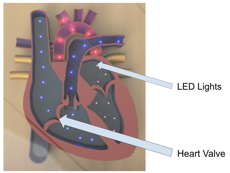 Circulatory Connect – screenshot 1