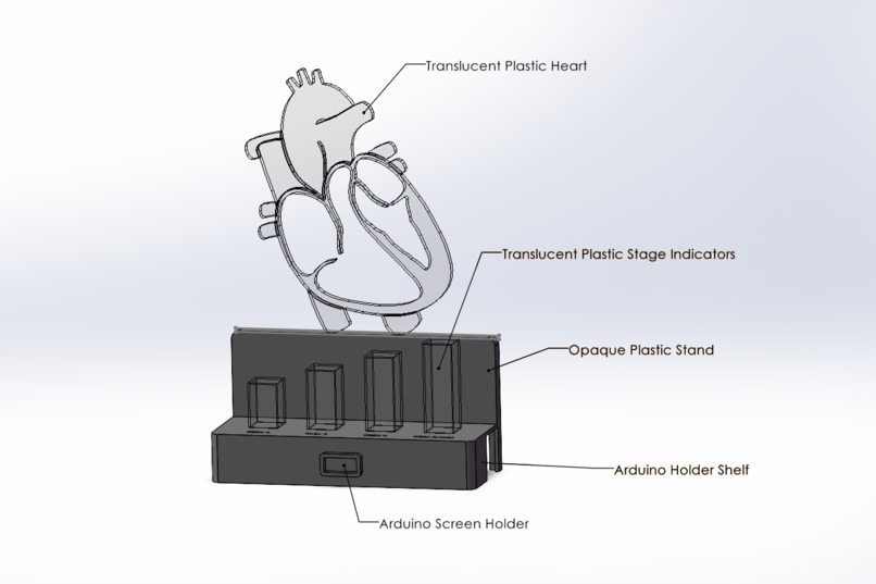Congestive Heart Failure Educational Model – screenshot 1