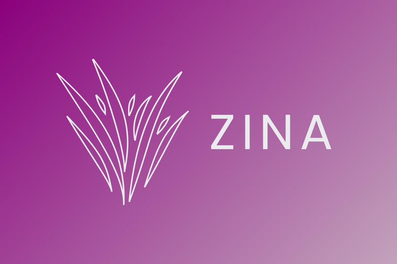 Zina – screenshot 1