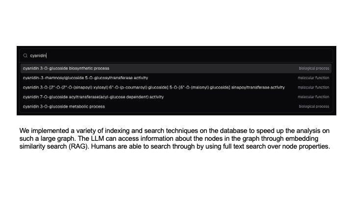 GLIMPSE – screenshot 4