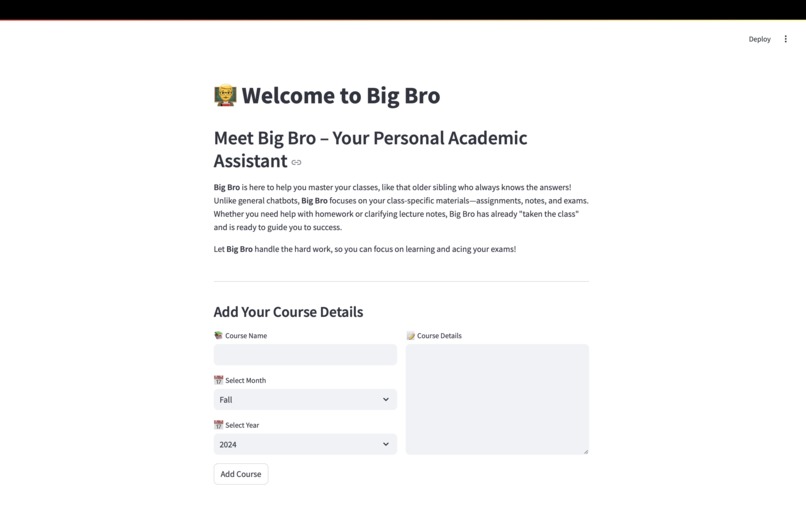 BigBro – screenshot 1