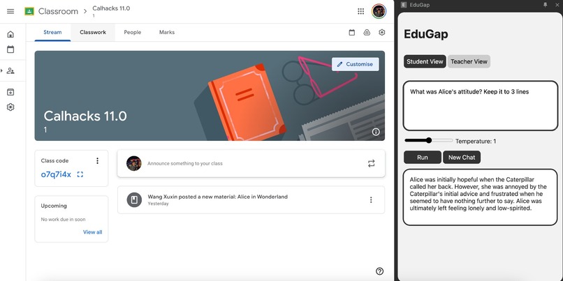 EduGap – screenshot 1