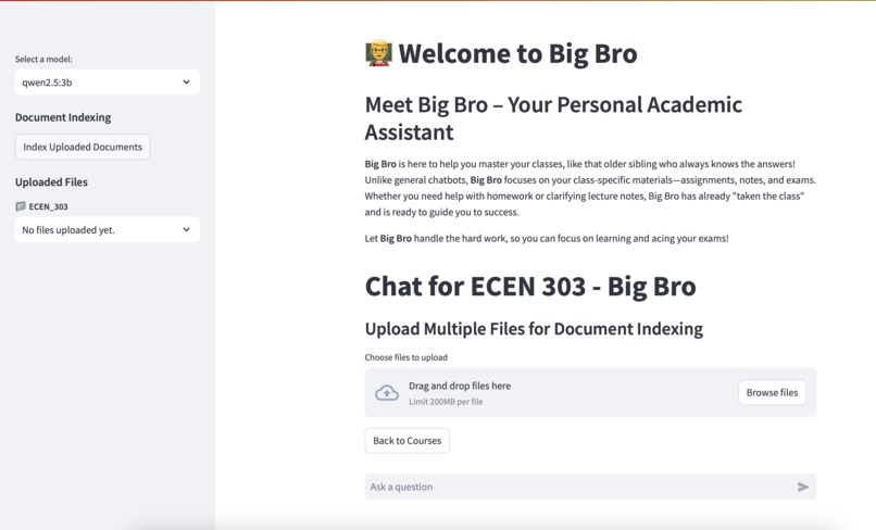 BigBro – screenshot 2