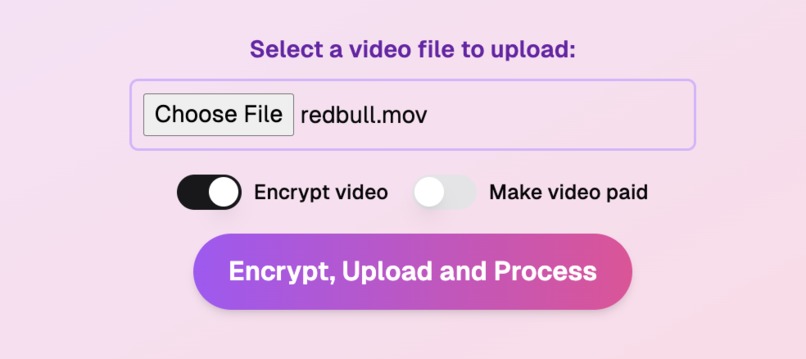 VidTooBig – screenshot 2