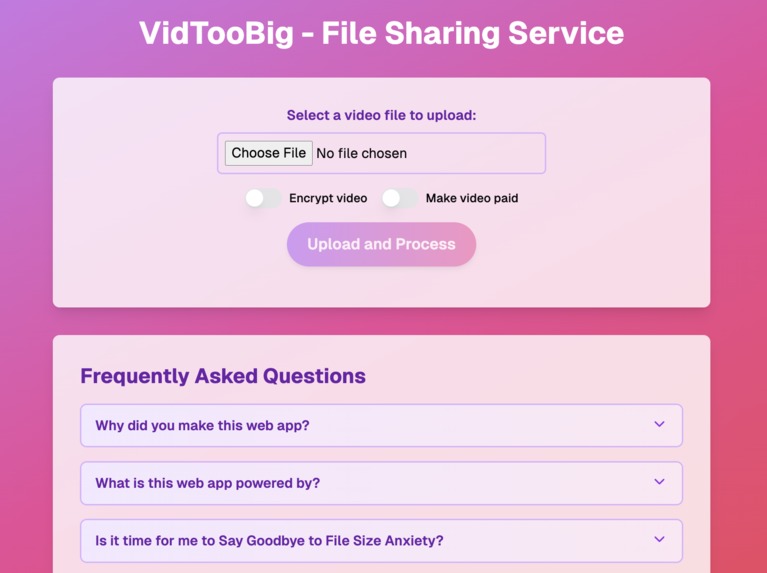 VidTooBig – screenshot 1