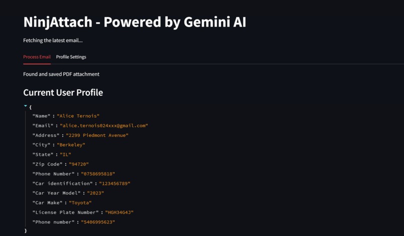 NinjAttach – screenshot 3