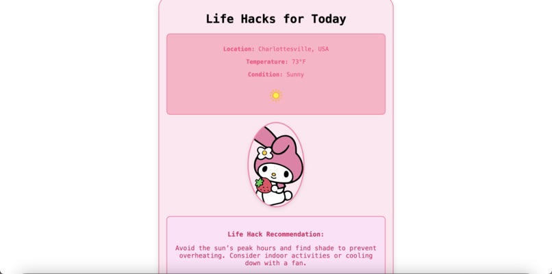 Hoos Life Hacks – screenshot 1