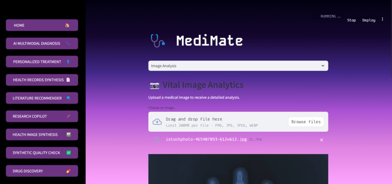 GenAI Medical Research, Treatment and Research Copilot – screenshot 2