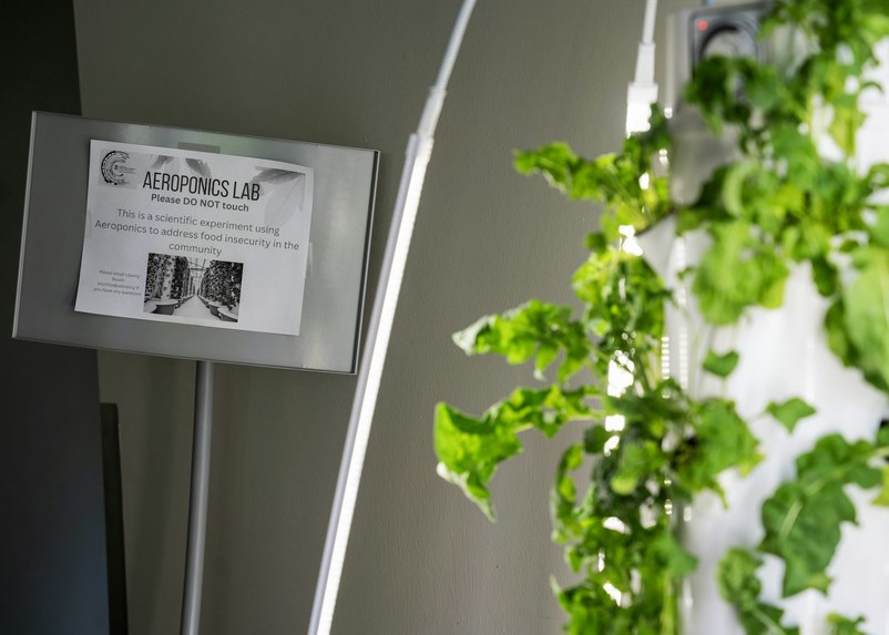 Aeroponics AI Assistant  – screenshot 1
