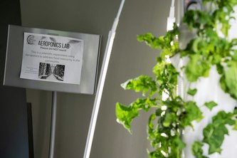 Aeroponics AI Assistant 