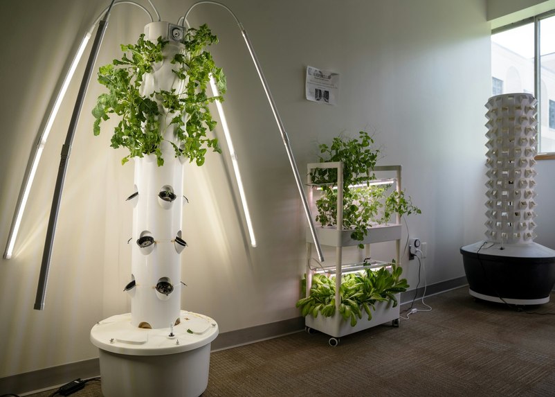 Aeroponics AI Assistant  – screenshot 2