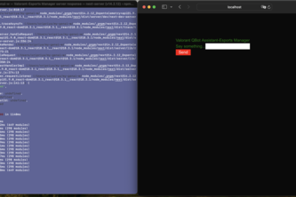 Valorant Esports Manager