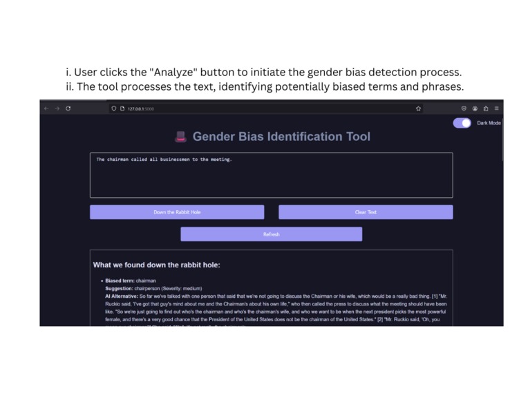 Gender Bias Identification Tool – screenshot 3