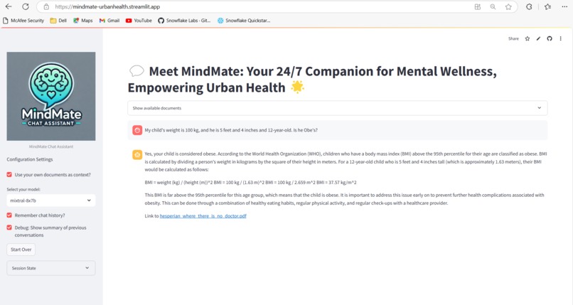 MindMate - Urban Health Bot  – screenshot 5