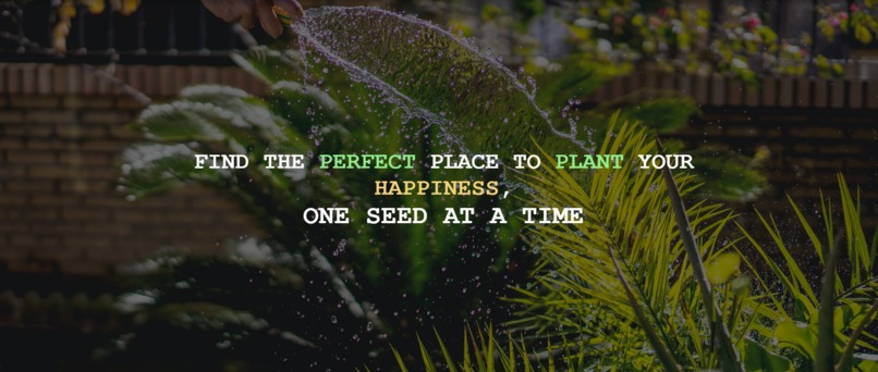 PLANTrees – screenshot 3