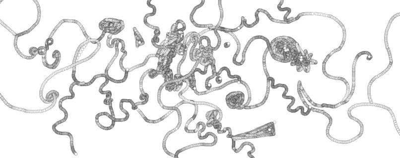 BoredGames.Bear – screenshot 2