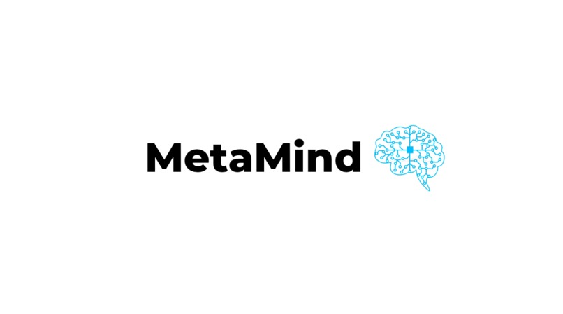 MetaMind – screenshot 1