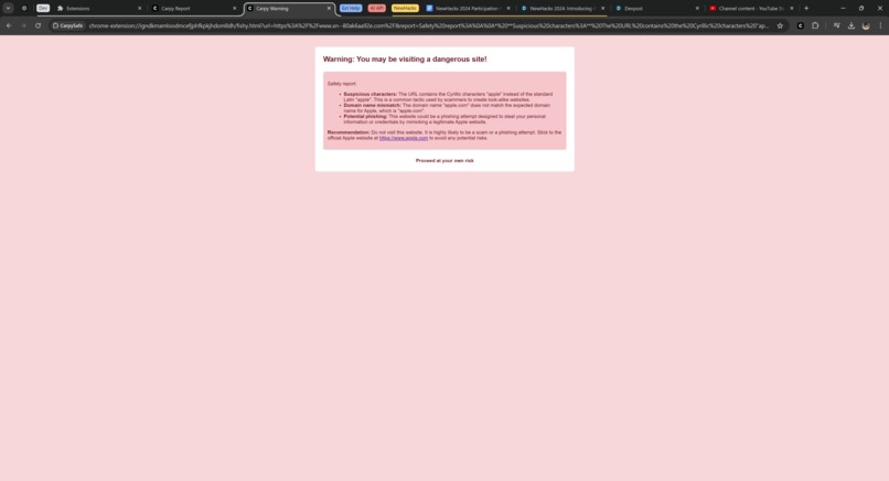 CarpySafe - IDN Spoofing Attack Defender – screenshot 3