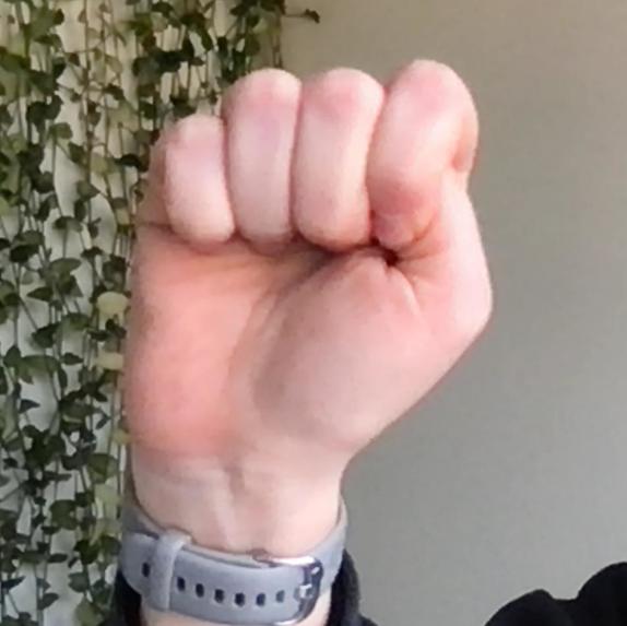 SOS Gesture Recognition – screenshot 2