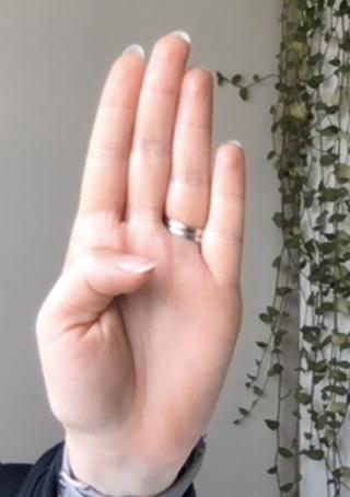 SOS Gesture Recognition – screenshot 1