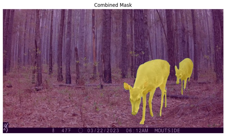 FaunaFlow: Building Animal Observer via Point-tracking – screenshot 3