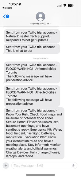 Disaster-Gpt – screenshot 2