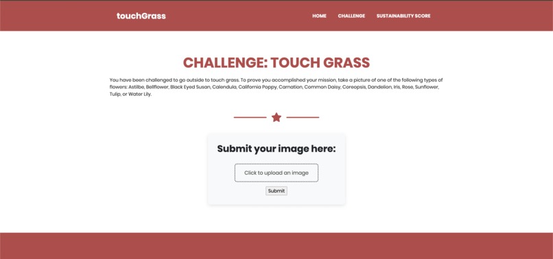 TouchGrass – screenshot 5