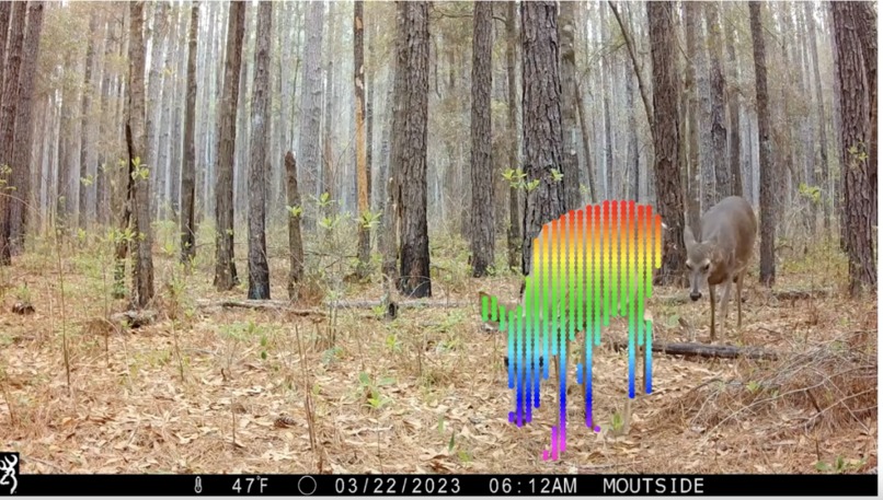 FaunaFlow: Building Animal Observer via Point-tracking – screenshot 5