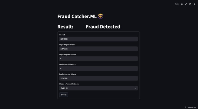 Fraudcatcher.ml – screenshot 3