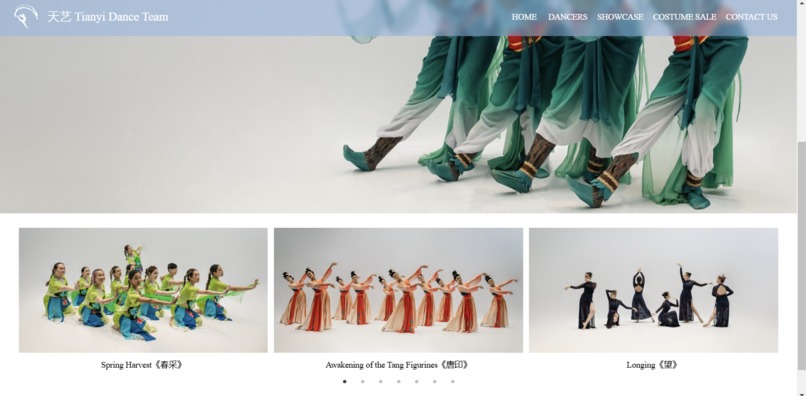 Tianyi Dance Team Website – screenshot 4